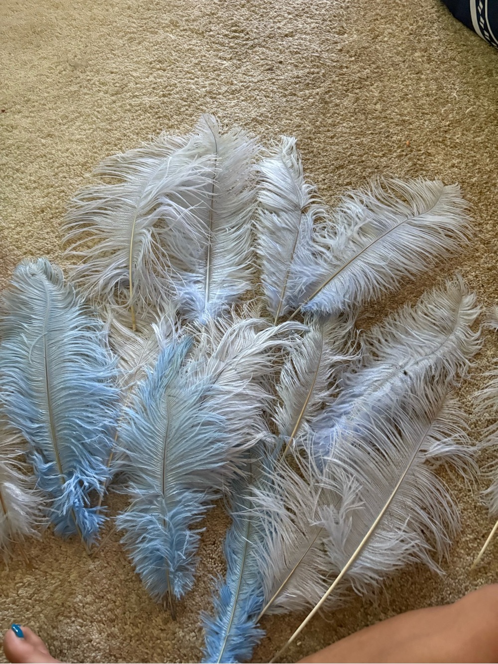 Vintage Teal Feathers Lot